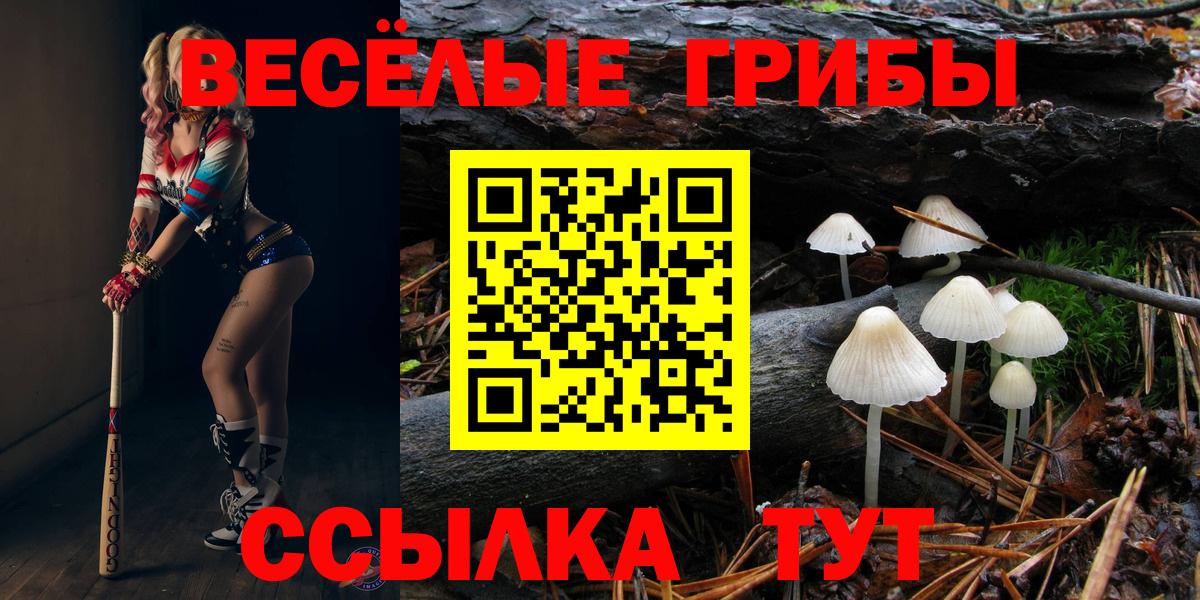 Псилоцибиновые грибы Magic Shrooms  купить  цена  Солнечногорск  Вход с VPN 
